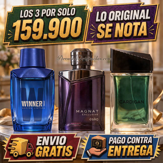 Magnat Exclusive + Winner sport + Cardigan